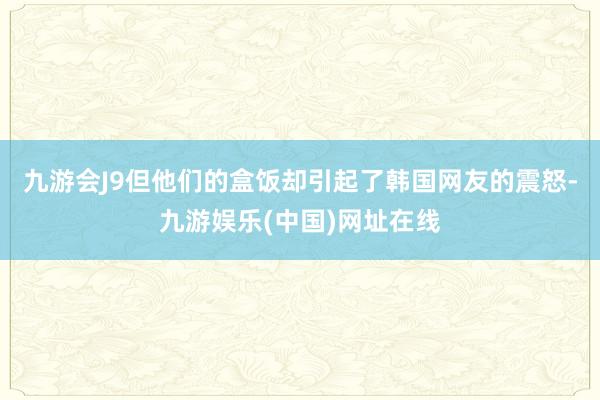 九游会J9但他们的盒饭却引起了韩国网友的震怒-九游娱乐(中国)网址在线